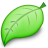 1325702242_Leaf.png